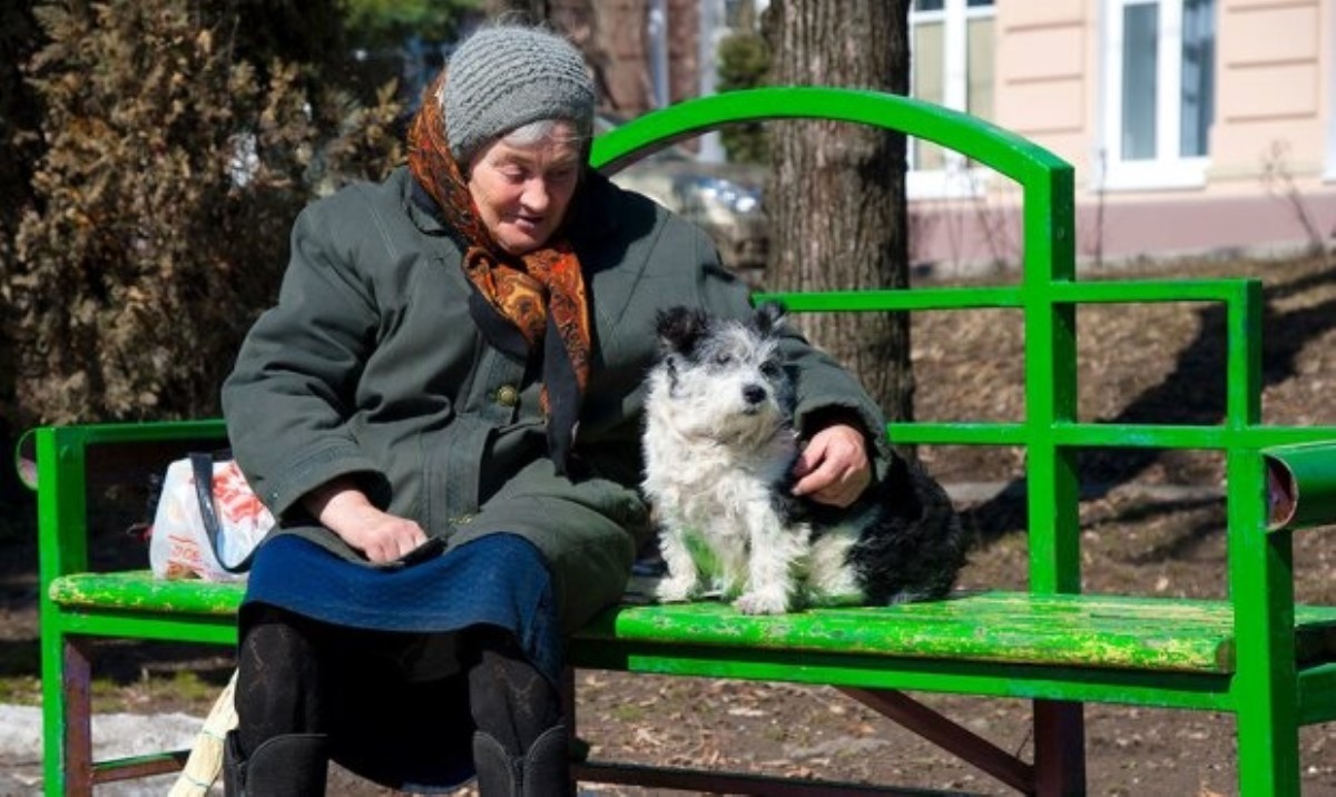 Как прожить до глубокой старости: породы собак, продлевающие жизнь