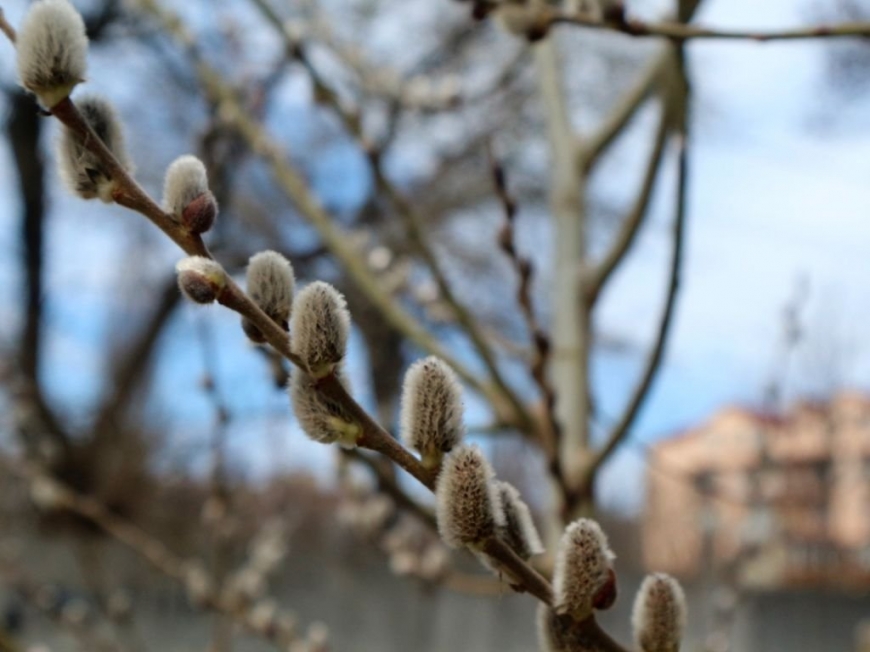 В Украину пришла настоящая весна
