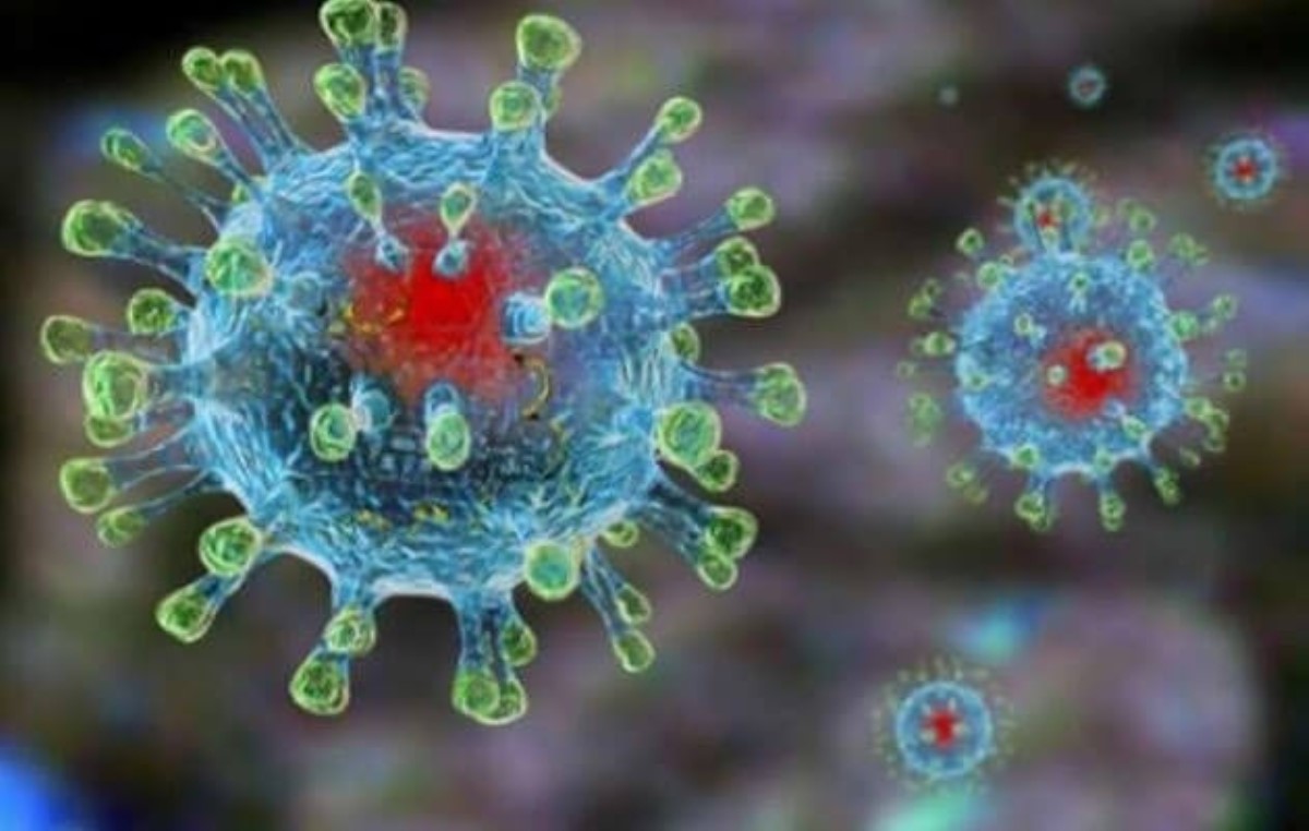Советник Зеленского спрогнозировал пик пандемии коронавируса в Украине
