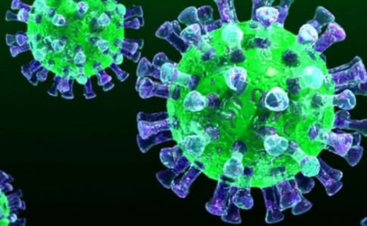 Ученый объяснил, как избежать новых эпидемий коронавируса