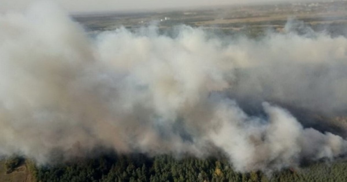 Пожар в Чернобыльской зоне: спасатели бессильны