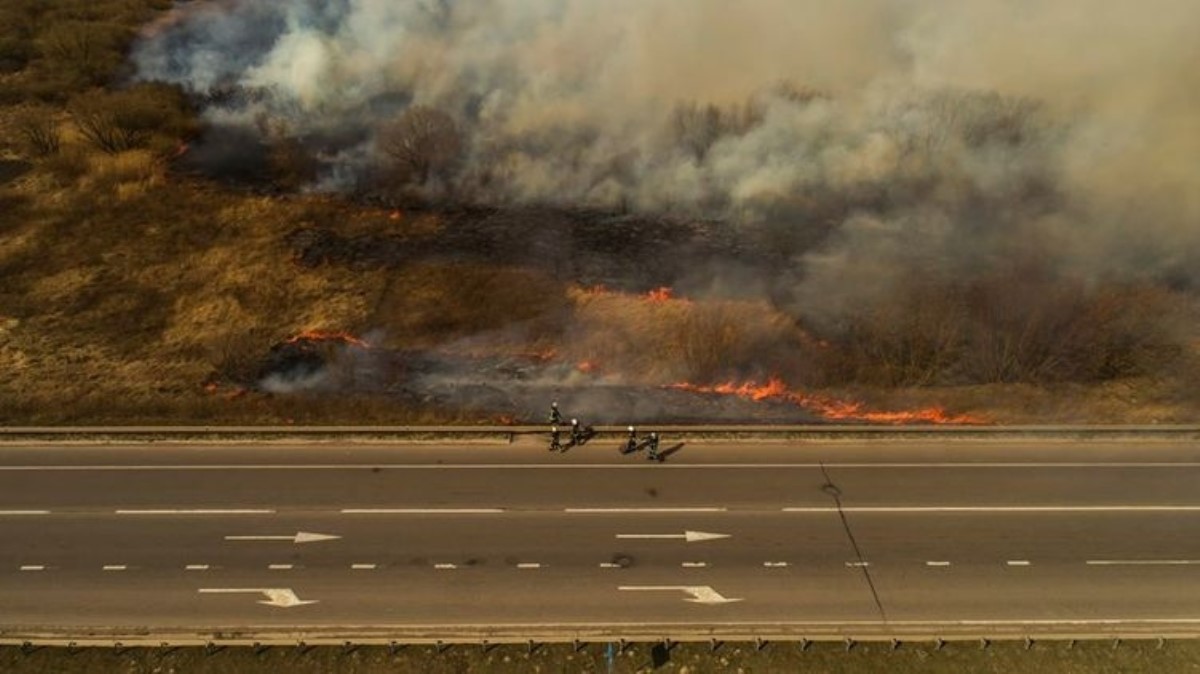 Появились кадры небывалых пожаров в Украине. Фото