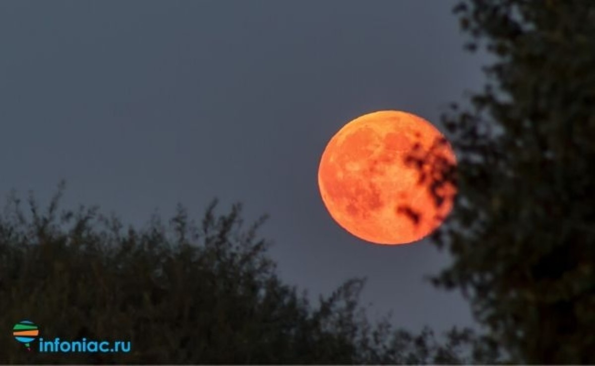 Розовая Луна: когда наблюдать яркое явление
