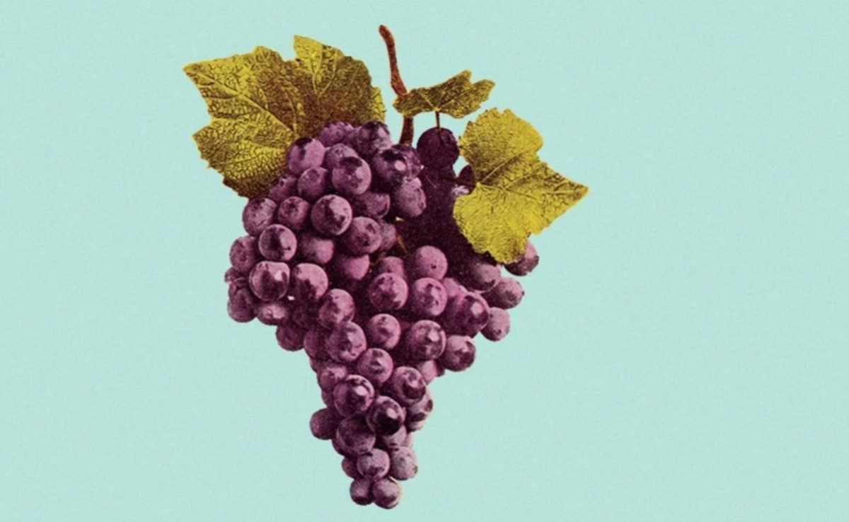 Выбираем хорошее вино: семь простых правил