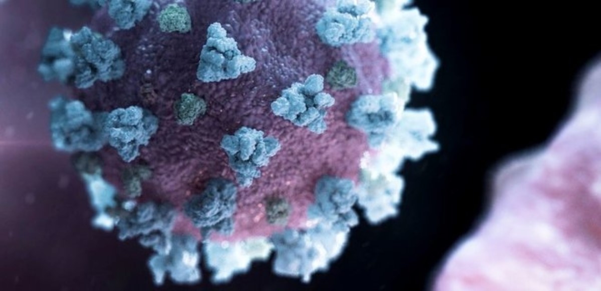 Медик опровергла утверждение, что коронавирус наиболее опасен для пожилых людей