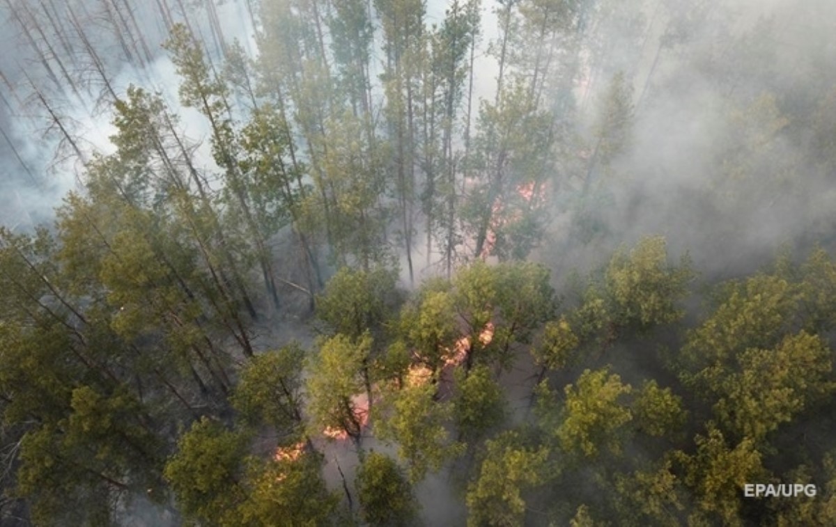 Метеорологи озвучили причину массовых пожаров в Украине