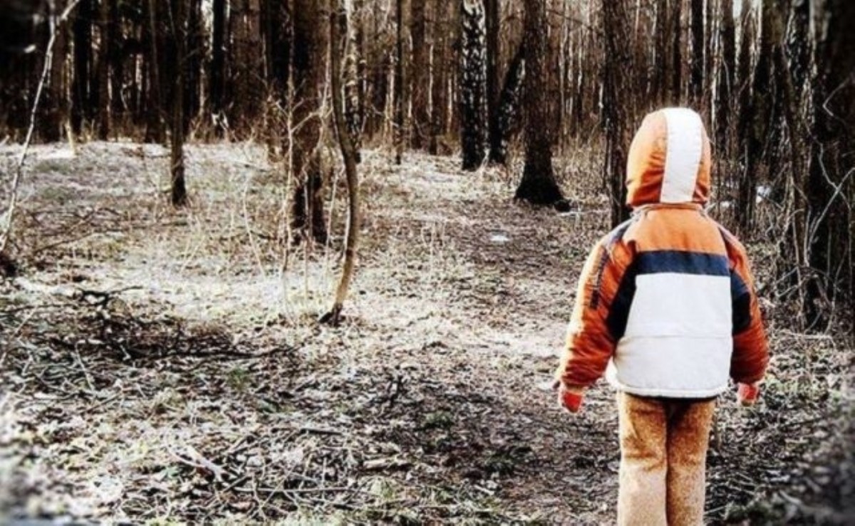 Заблудившийся в лесу мальчик рассказал, что выжить ему помог медведь