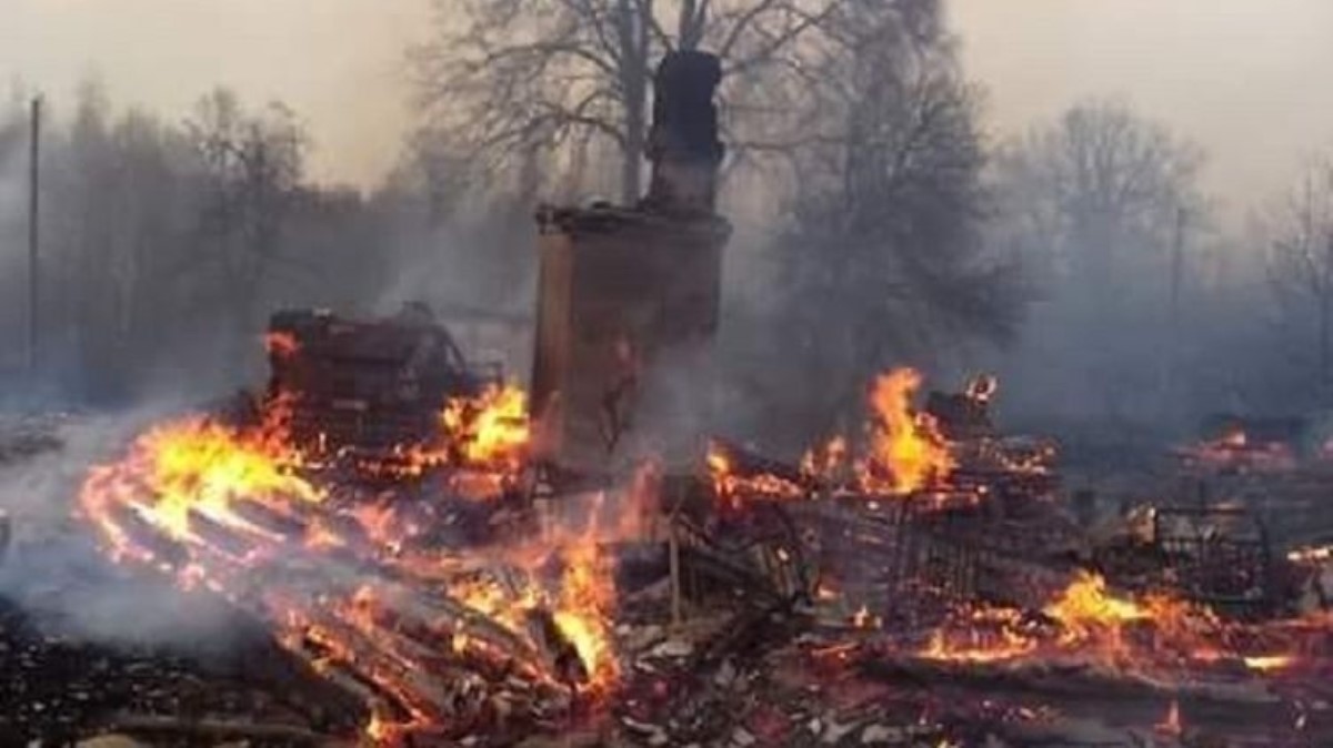 Появилось видео пожаров в Житомирской области, откуда гарь могла попасть в Киев