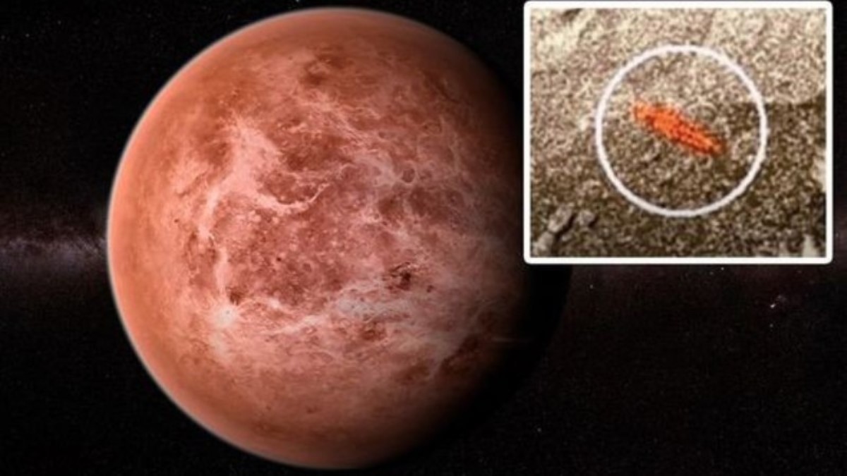 Аппарат «Венера-13» запечатлел признаки жизни на Венере