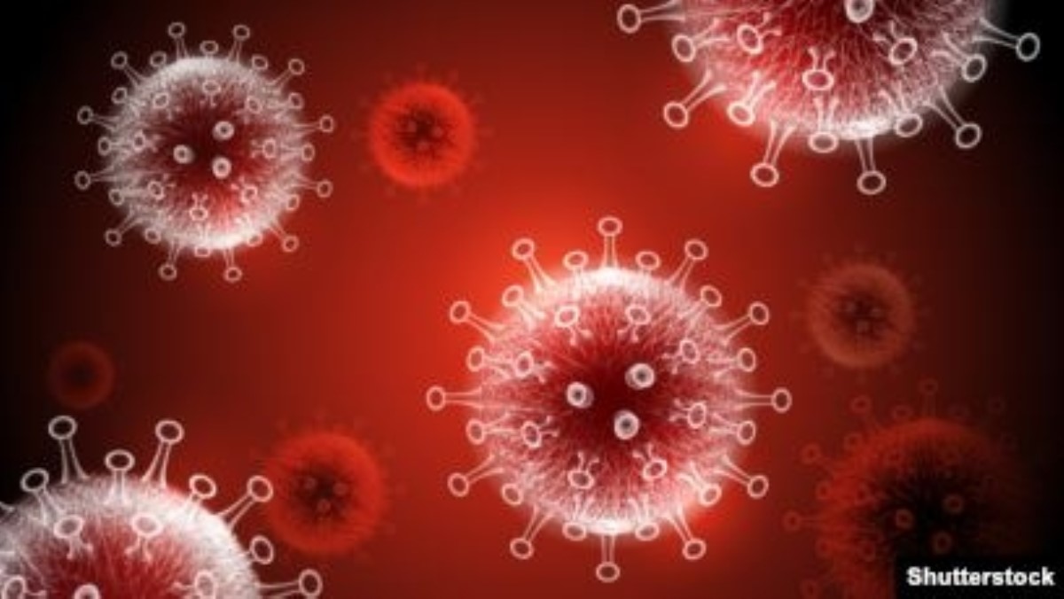 В ВОЗ установили происхождение коронавируса
