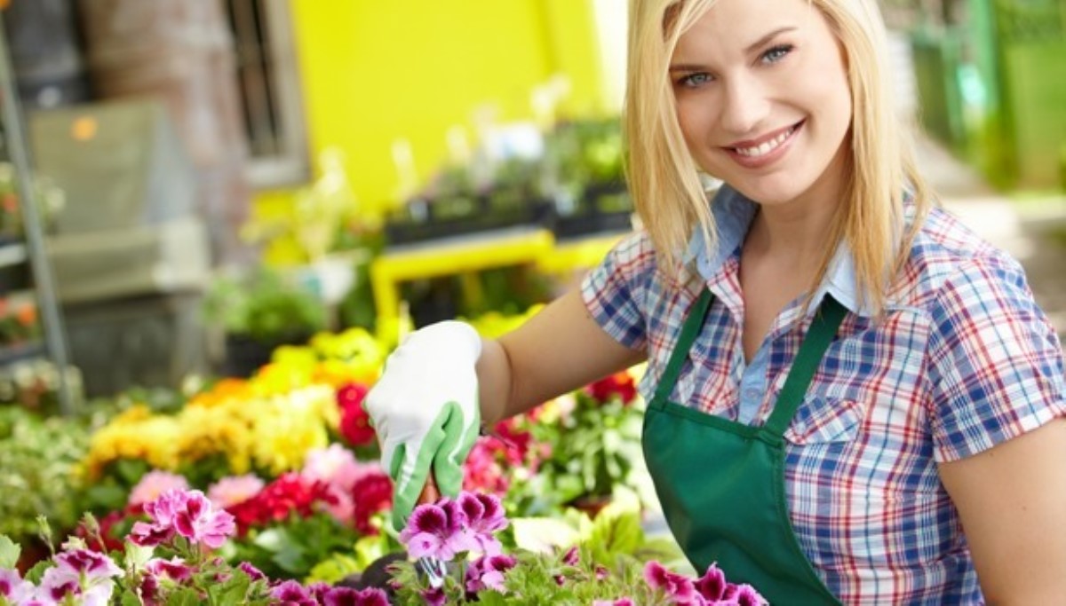 Агромаркет – помощник садовода, готовый удивить уровнем сервиса и широким выбором