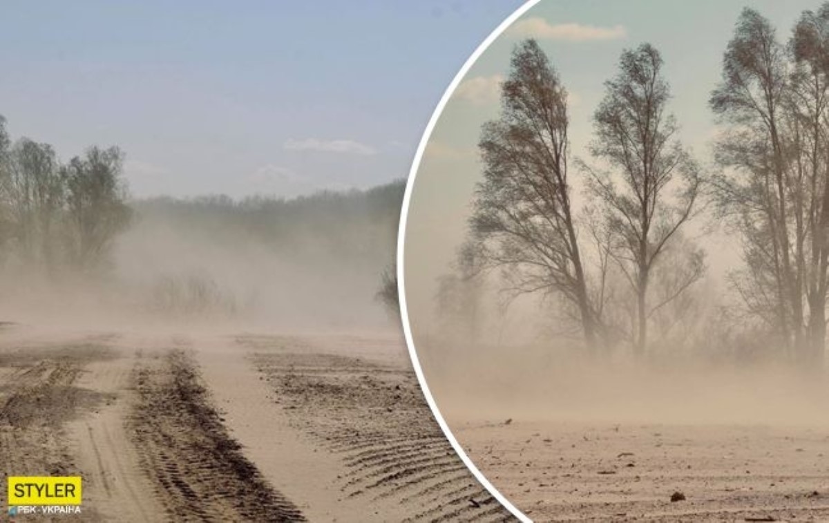 Украина становится пустыней: страшные последствия вырубки лесов