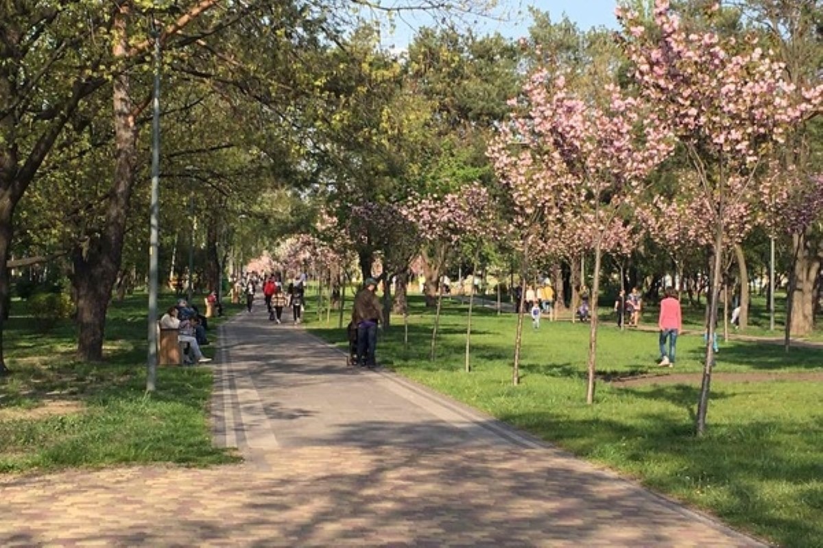 Киевляне во время карантина массово вышли на прогулку в парк. Фото
