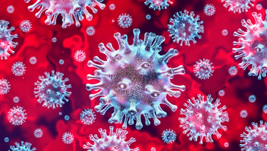 В ВОЗ сравнили смертность от COVID и свиного гриппа