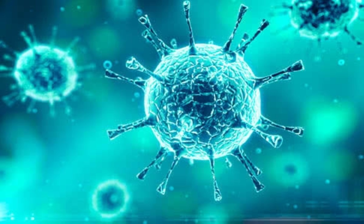 Разведка США опровергла искусственное происхождение коронавируса