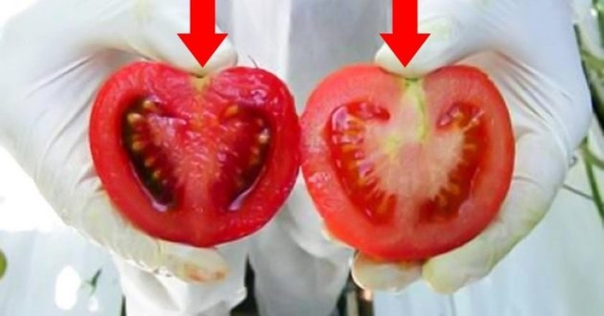 Мощный удар по важному органу: чем опасны обычные помидоры