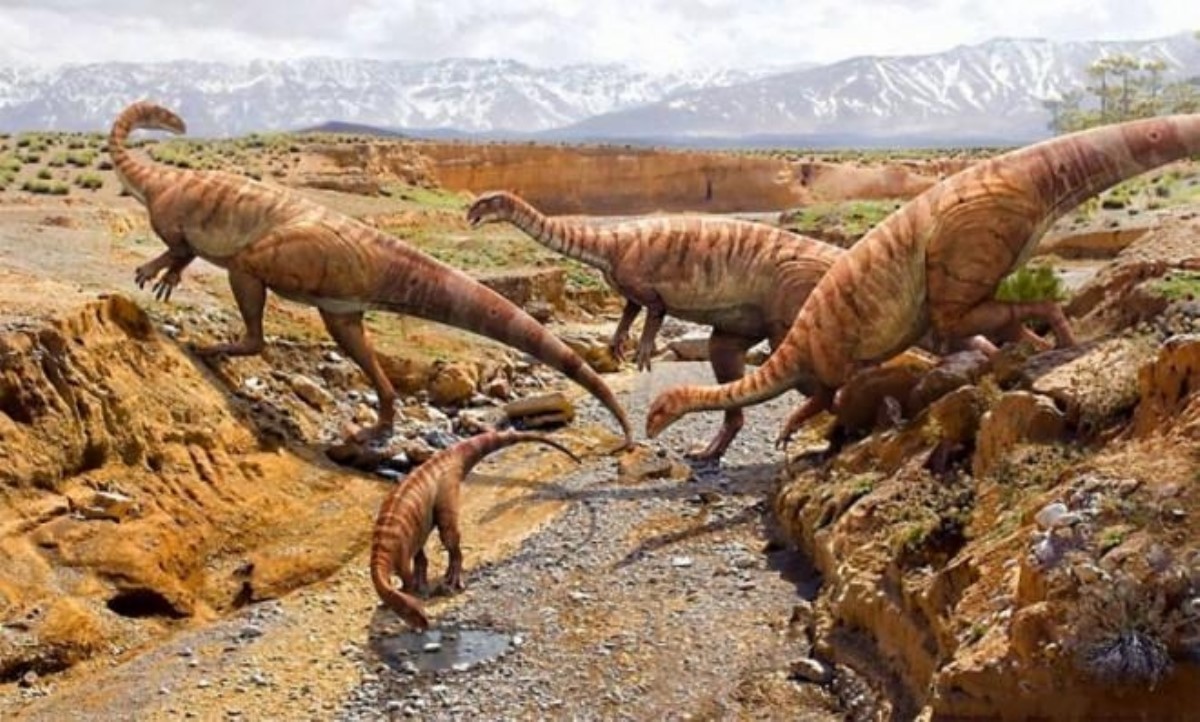 Пять самых невообразимых фактов о динозаврах