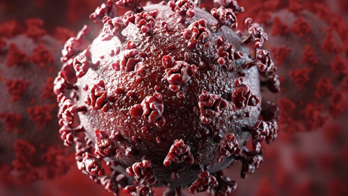 Ученые нашли антитело, блокирующее коронавирус