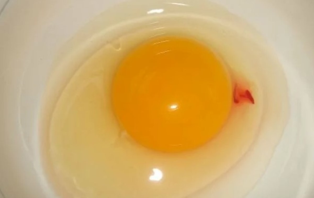 Можно ли пить яйца с каплей крови внутри