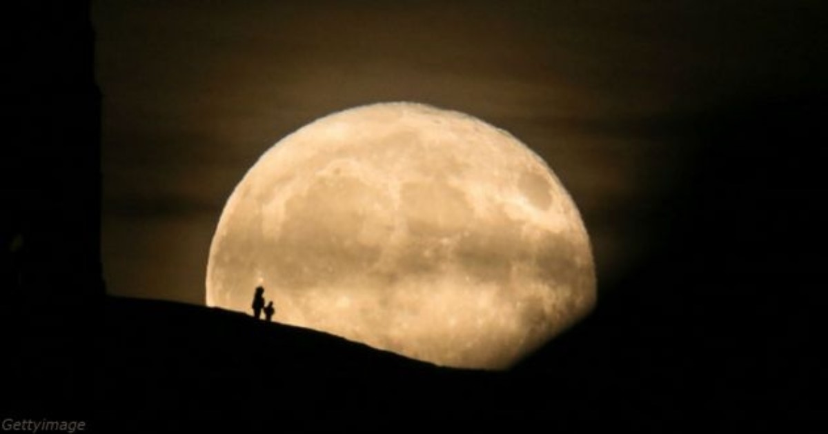 Цветочная луна: что нужно делать сегодня и как загадать желание