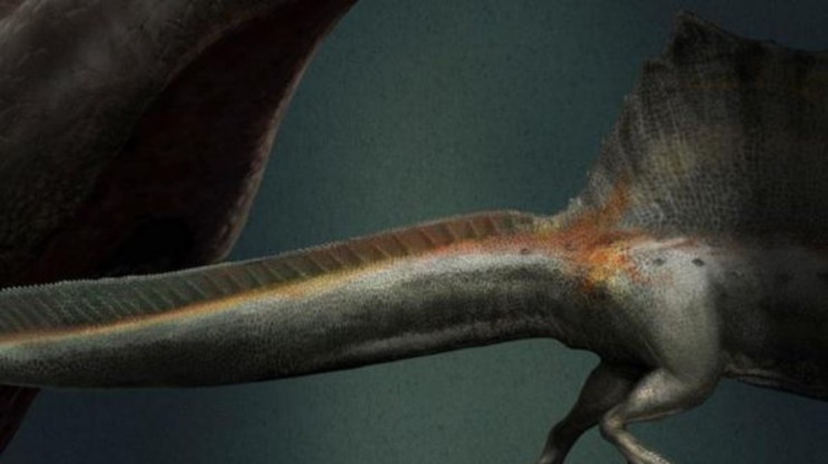 Ученые нашли динозавра с суперспособностями