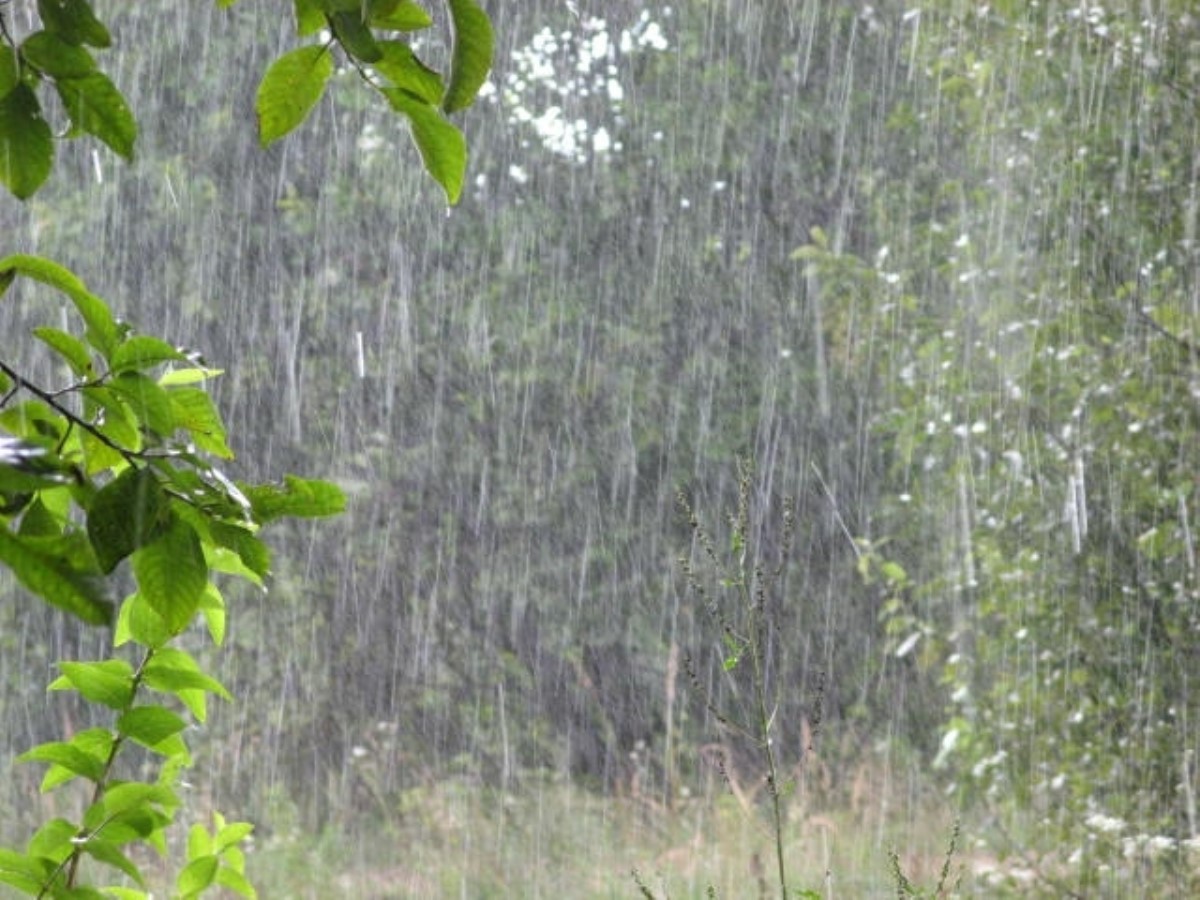Некрасивый поступок несмотря на сильный дождь. Ливневые дожди. Дождь ливень. Сильный дождь. Летний ливень.