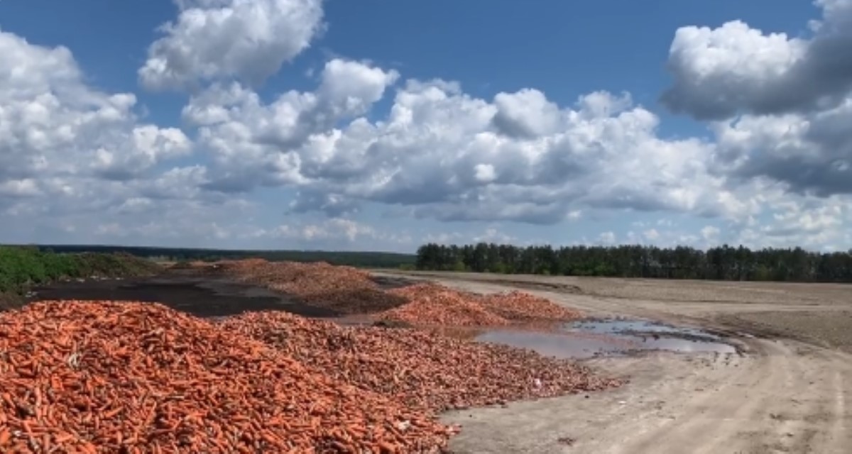 Под Киевом фермер выбросил тонны испорченного урожая: подробности