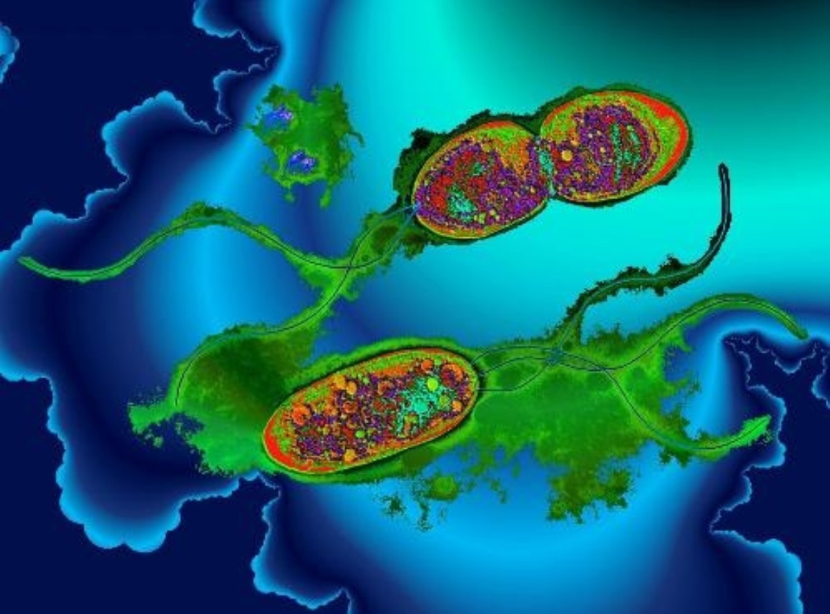 Ученые бьют тревогу: мир захватывает опасная супербактерия