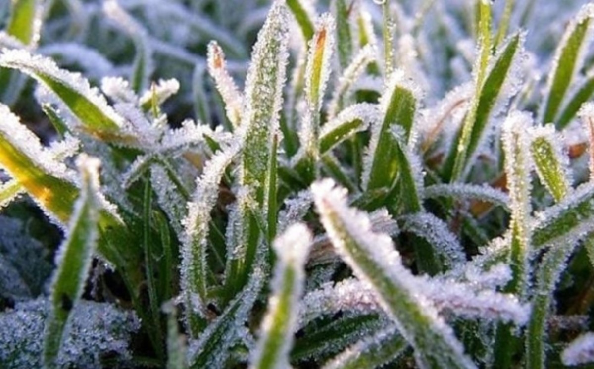 Ожидаются значительные заморозки: синоптики дали неожиданный прогноз на пятницу