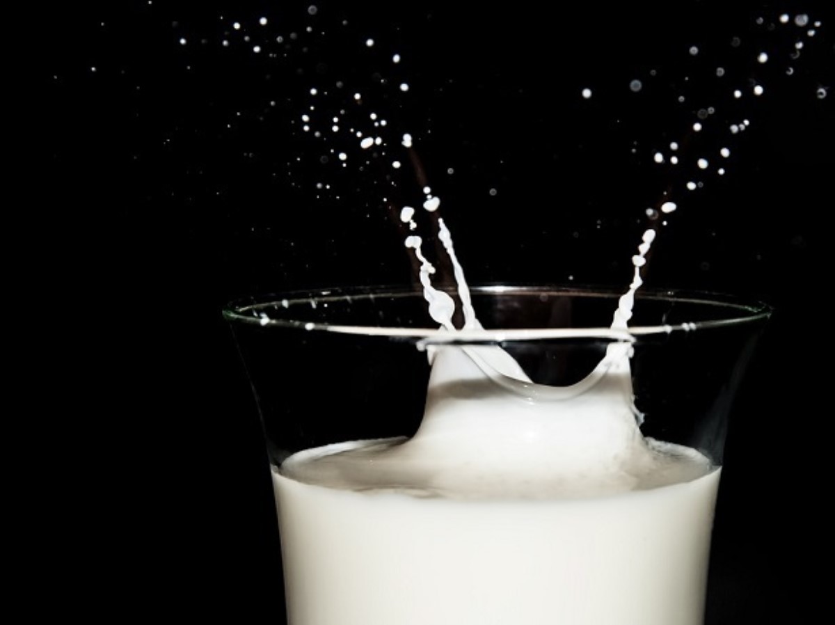 Эксперты объяснили, чем опасно коровье молоко