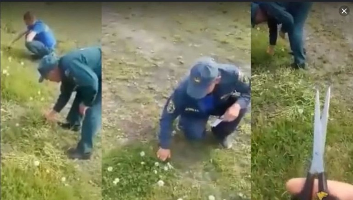 В России пожарных заставили стричь траву маникюрными ножницами
