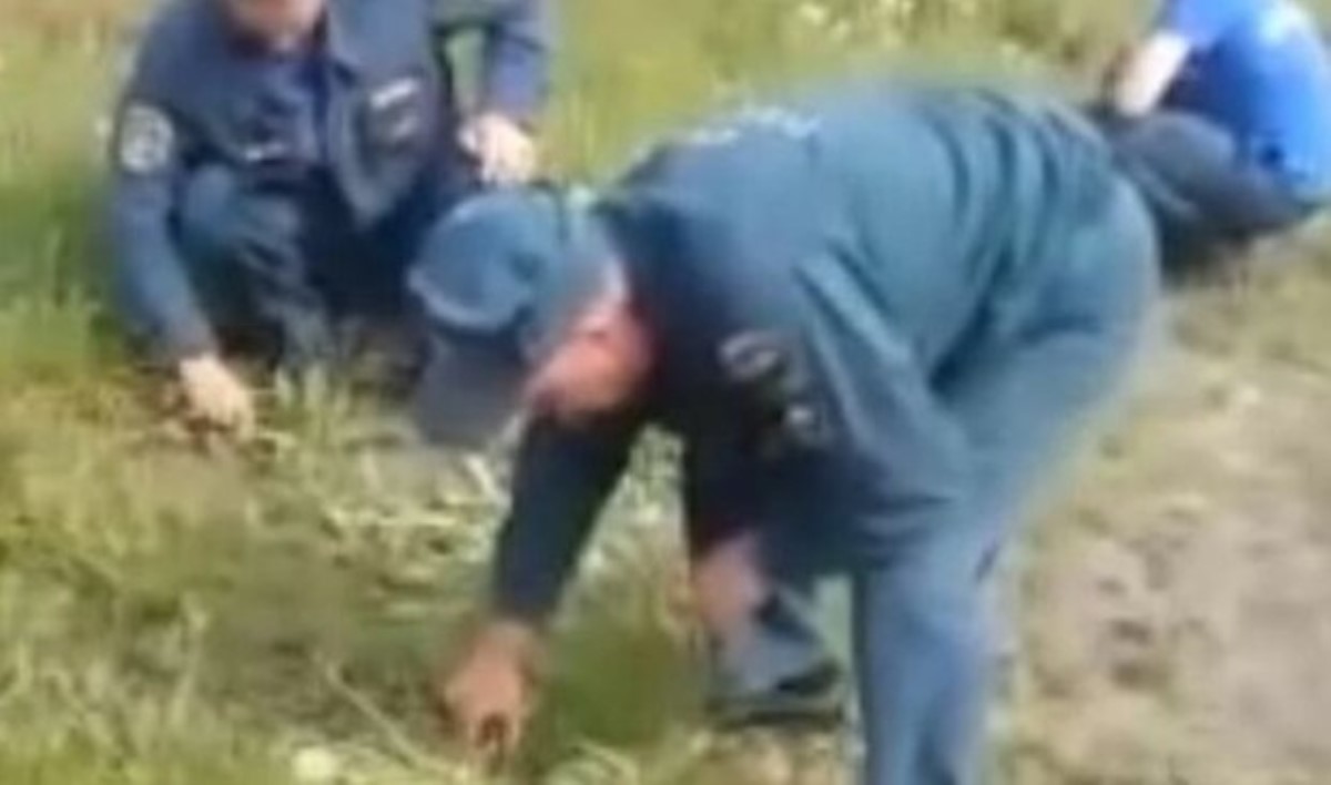 Российские пожарники стригли траву… маникюрными ножницами