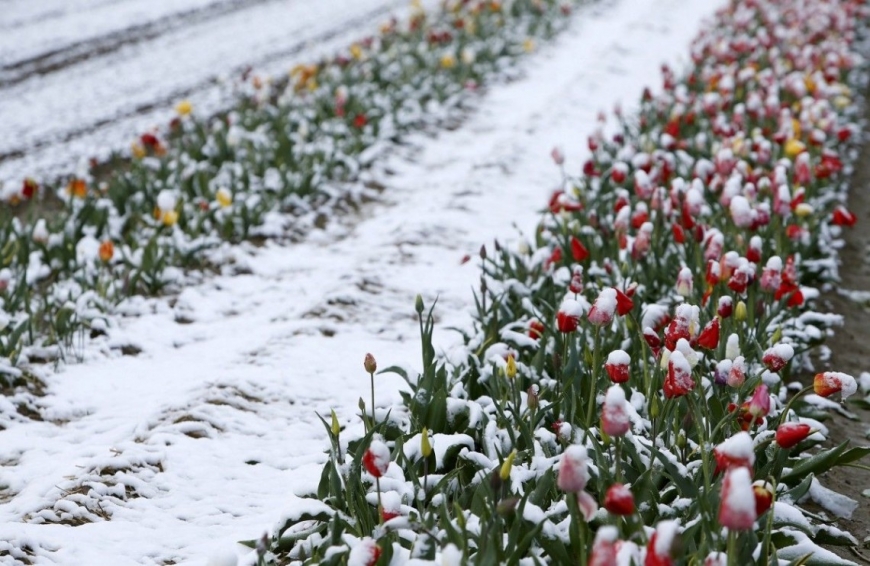 Возможен снег: синоптики удивили прогнозом погоды