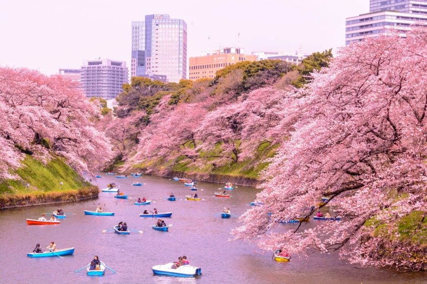 Япония будет выплачивать туристам по $185 в день