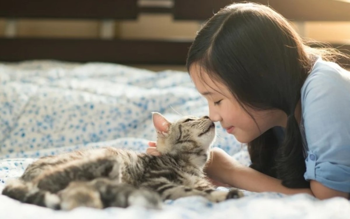 Почему специалисты не советуют целовать кошку в нос