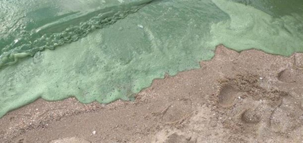 На пляже Николаева неожиданно позеленела вода. Фото