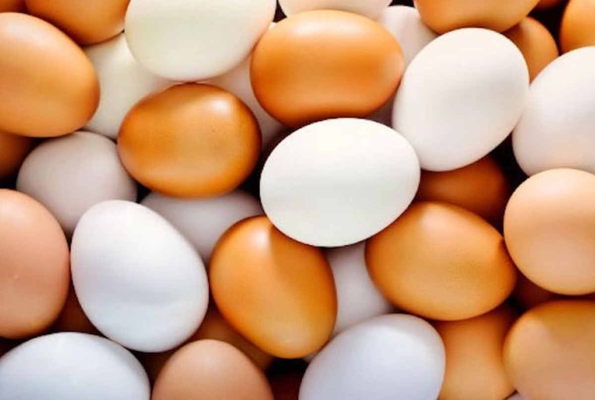 Названа одна из главных ошибок при варке яиц