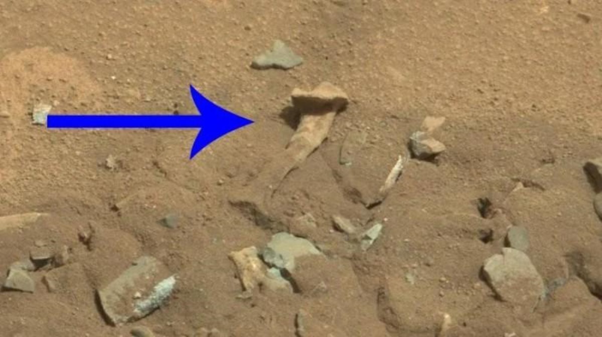 Уфологи обнаружили на Марсе "кость человека "