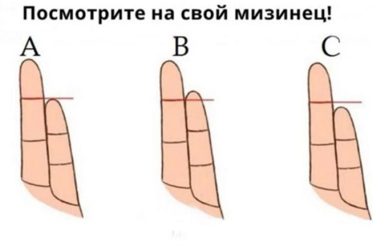 Как длина пальцев влияет на характер человека