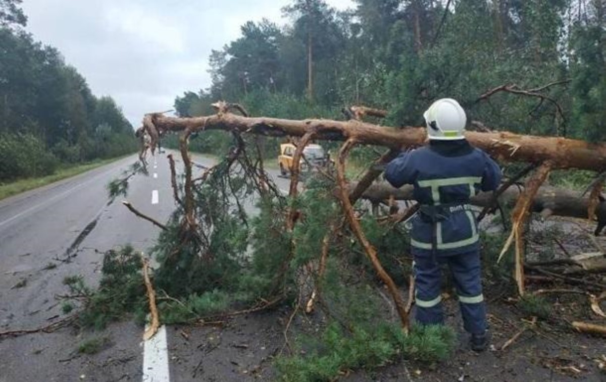 В Украине непогода обесточила более 100 населенных пунктов