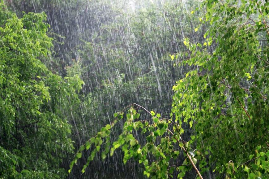 Дожди не спешат уходить: синоптики дали свежий прогноз