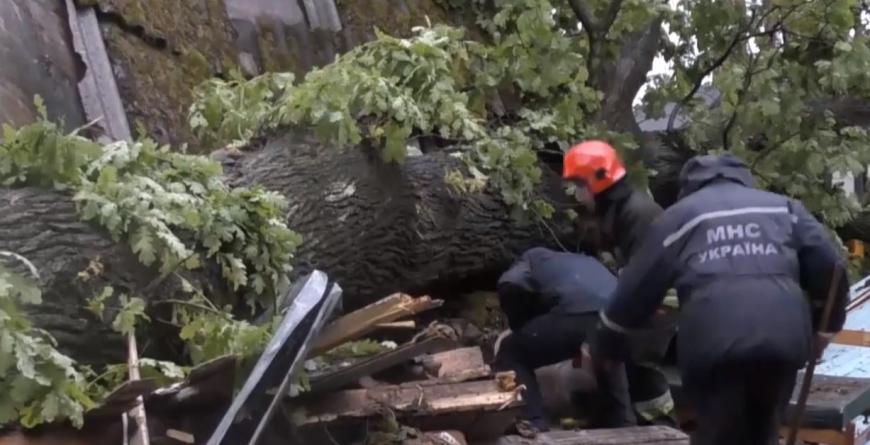 На Львовщине огромное дерево упало на дом с девушкой внутри