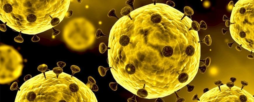 Ученые объяснили, почему теряется обоняние у зараженных коронавирусом