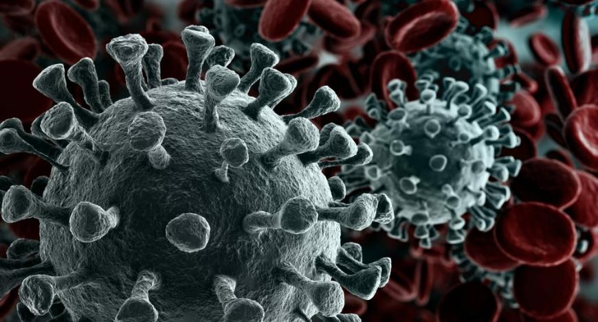 Ученые заявили о критической опасности для мозга из-за коронавируса