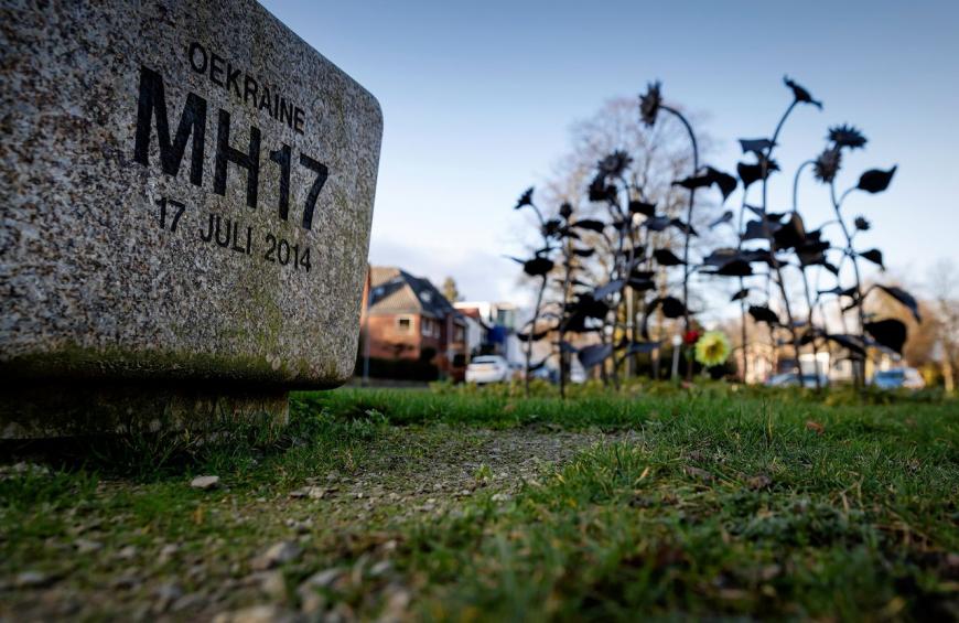 Суд по MH17: предоставлено новое доказательство