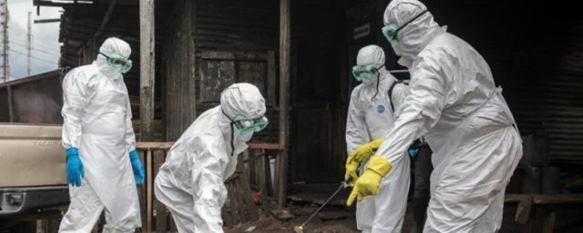 Вспышка бубонной чумы: насколько серьезна опасность