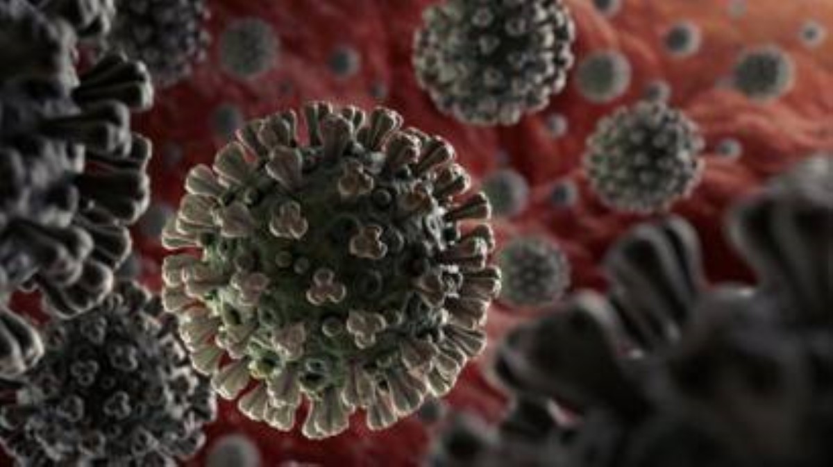 Еще один коронавирус: получен тревожный прогноз ученых