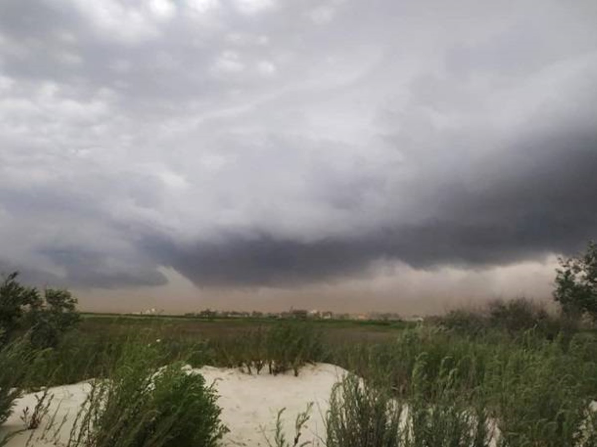 Песчаная буря под Одессой попала на видео