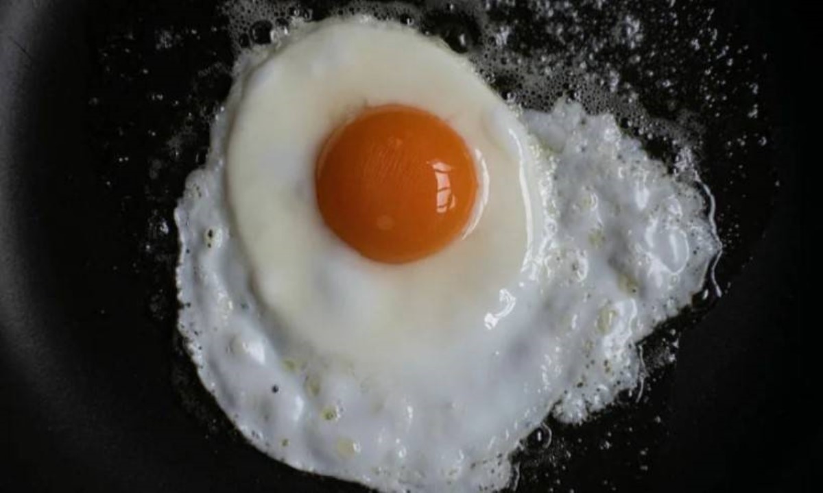 Жареные яйца: польза и вред для здоровья