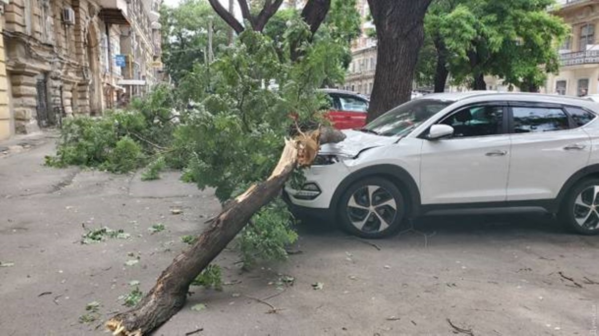 В Одессе буря повалила десятки деревьев и вызвала обрывы электросетей